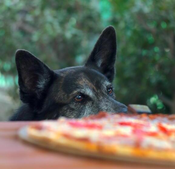 Esenin 1 Hostel & Bar