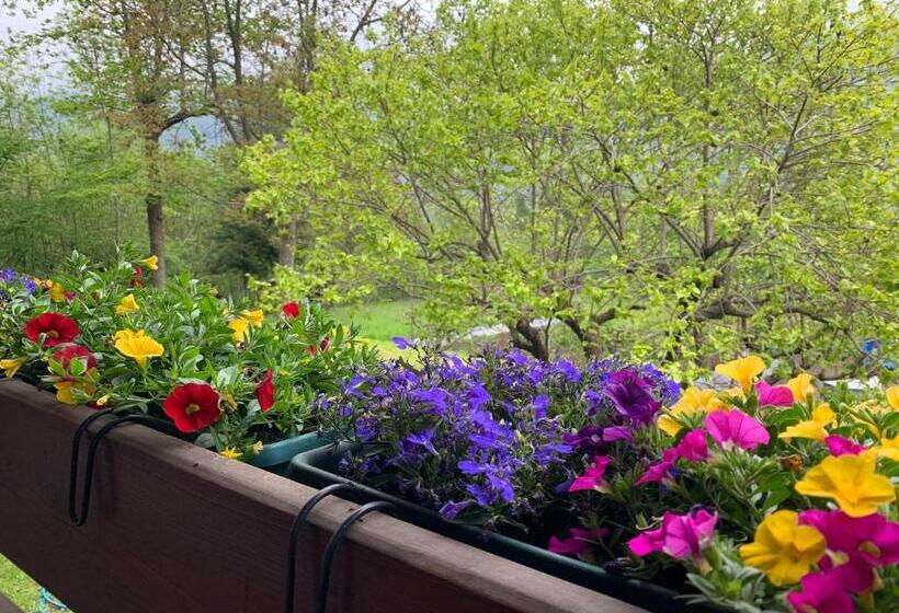 호텔 Agriturismo Il Viandante