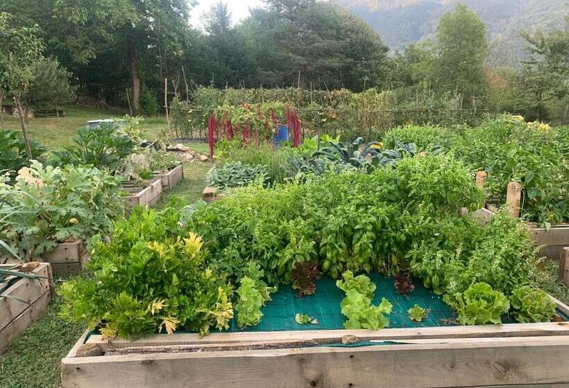 호텔 Agriturismo Il Viandante