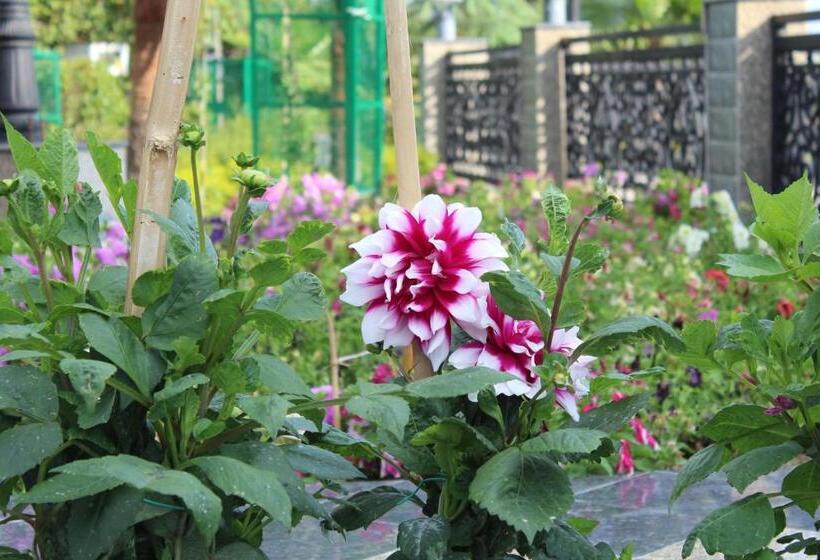 هتل Dhauladhar Heights Resort