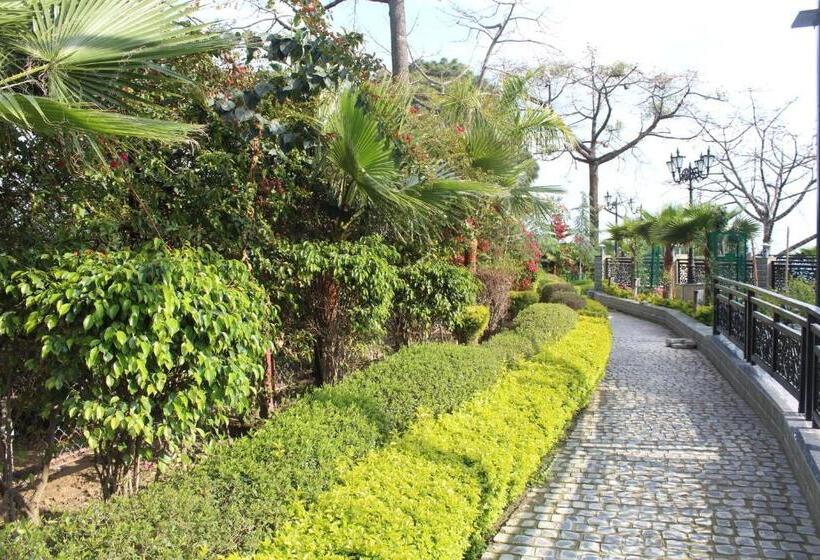 هتل Dhauladhar Heights Resort