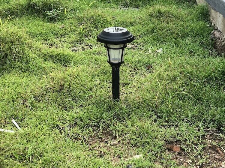 בית מלון כפרי Downtown Virgins