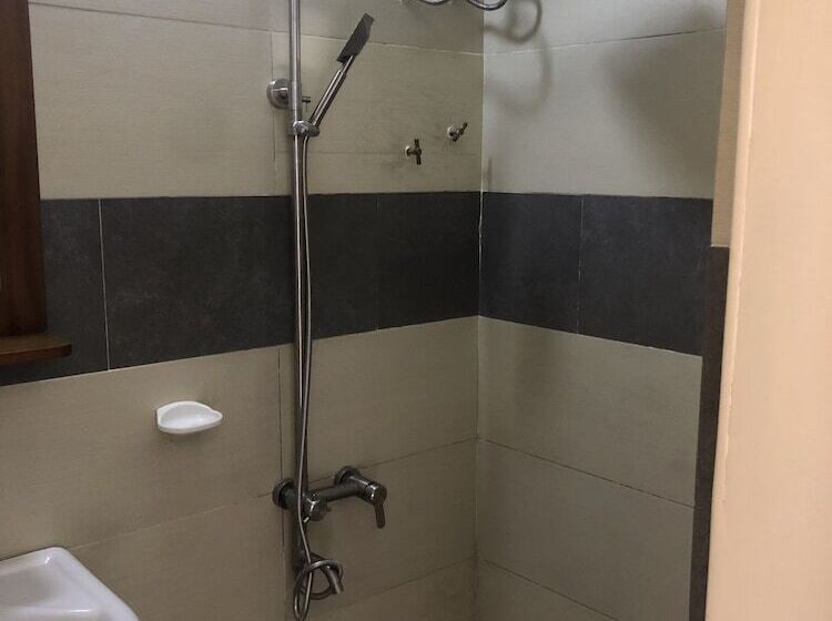 בית מלון כפרי Downtown Virgins