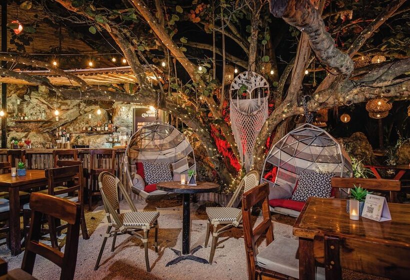 酒店 Enigmatic Beach