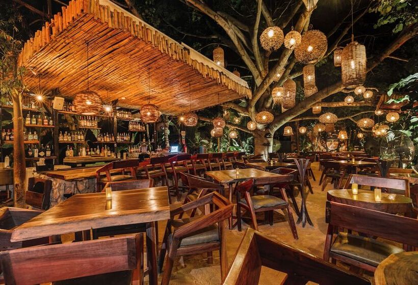 酒店 Enigmatic Beach