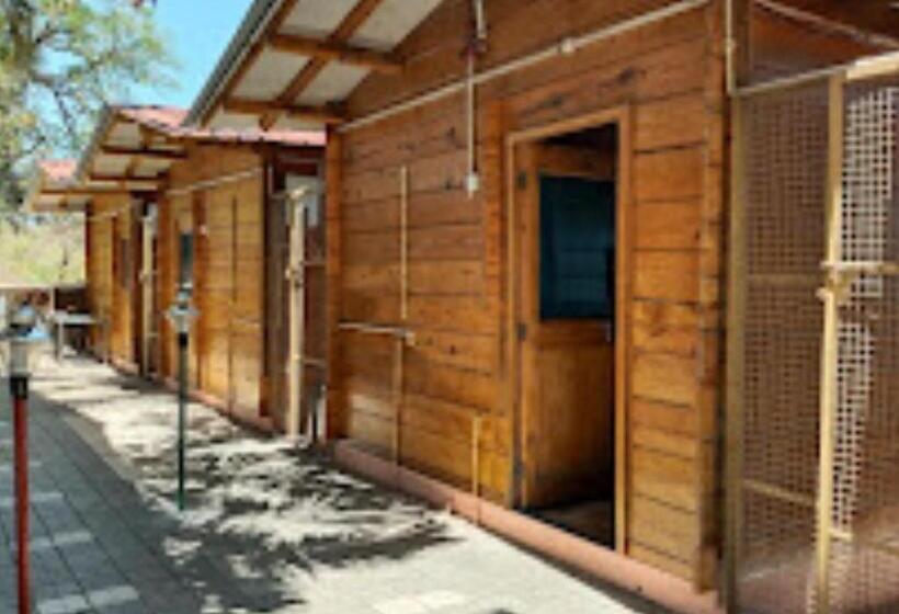 호텔 Kaas Woods Resort, Satara