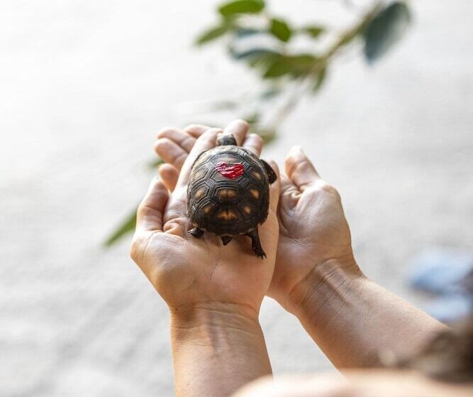 ホテル The Aerial, Bvi