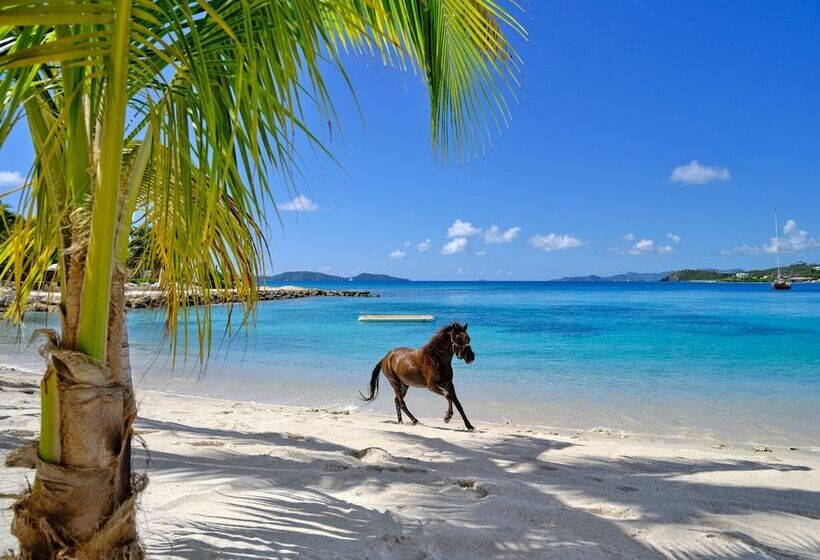 ホテル The Aerial, Bvi