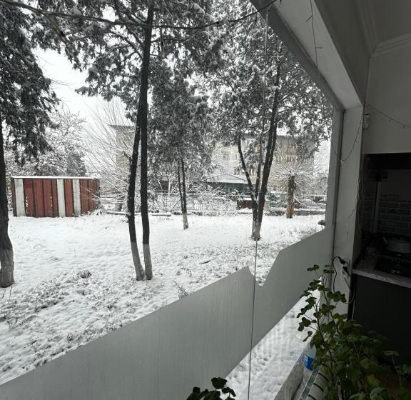 پانسیون Guest House Family7