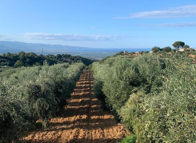 אתר נופש Tenute Librandi Agriturismo