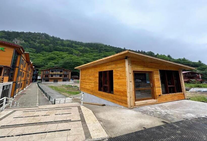 Aderfia Suite