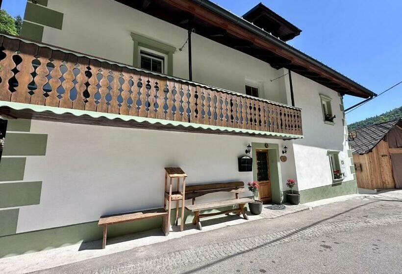 هاستل Bajta Kroparica