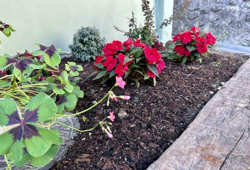 هاستل Bajta Kroparica