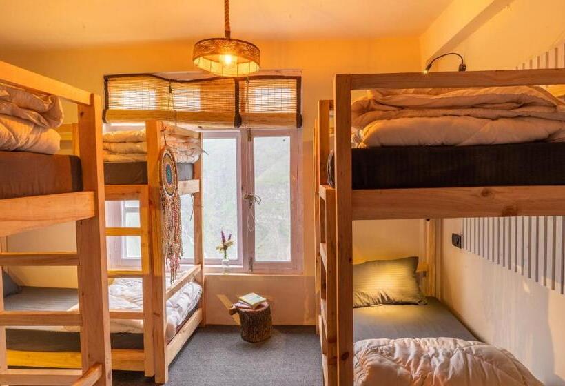 旅馆 Grease Moto Club   Khangsar, Sissu