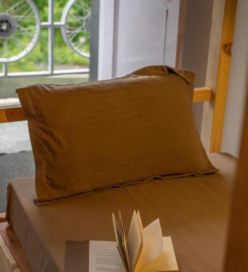 旅馆 Grease Moto Club   Khangsar, Sissu