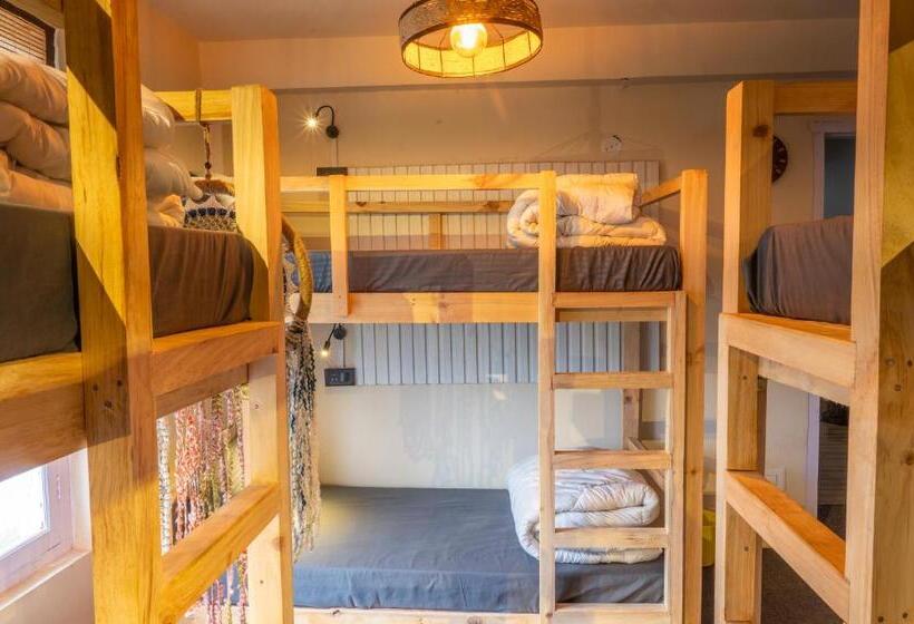 旅馆 Grease Moto Club   Khangsar, Sissu