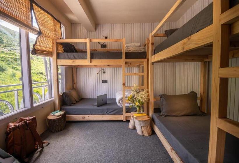 旅馆 Grease Moto Club   Khangsar, Sissu