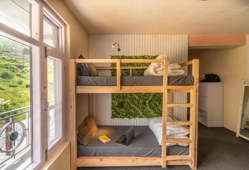 旅馆 Grease Moto Club   Khangsar, Sissu