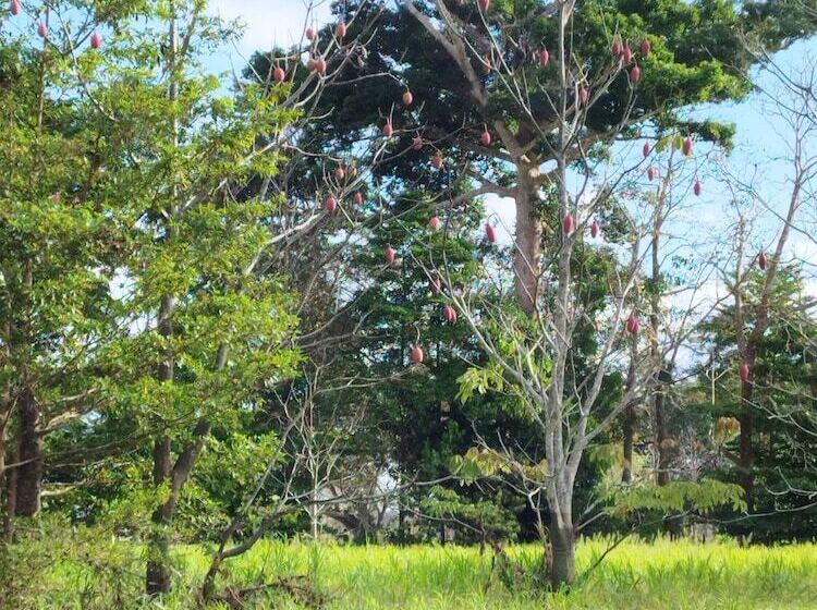 فندق صغير Leticias Guest House