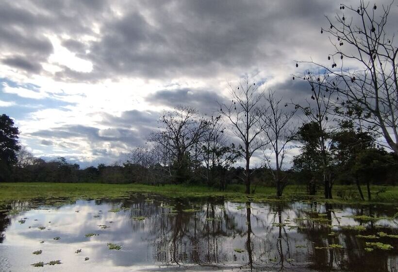 فندق صغير Leticias Guest House