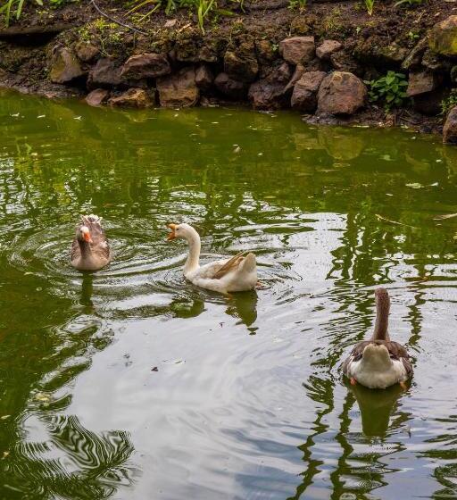 Eco Hotel Boutique En Ecoparque Chinauta, Piscina, Granja, Juegos