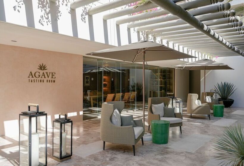 Grand Velas Boutique Hotel   Adults Only