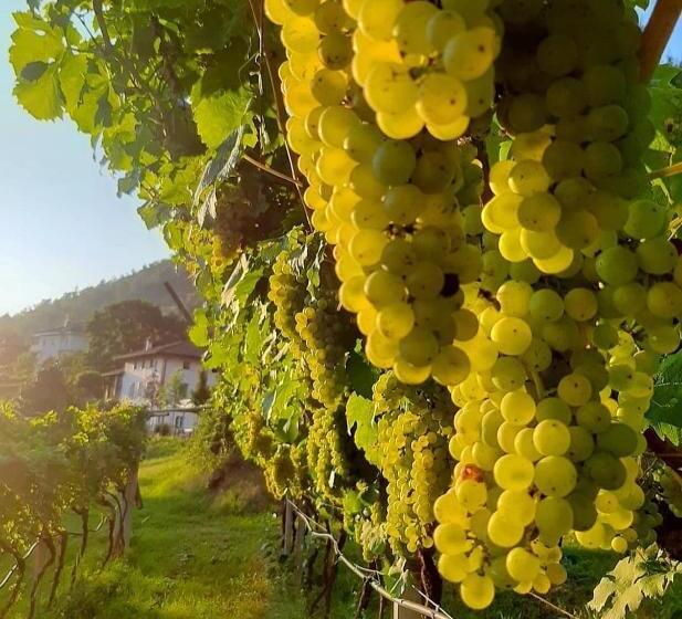 호텔 Agritur Cantina Romanese