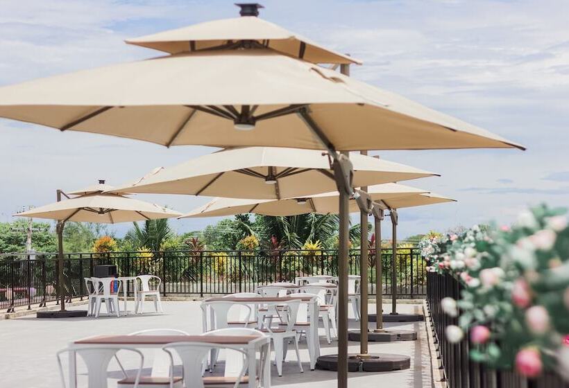 هتل Bohol Dolphin Bay Resort