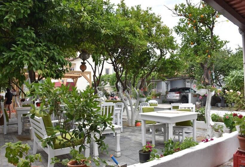 هتل La Sorella Butik