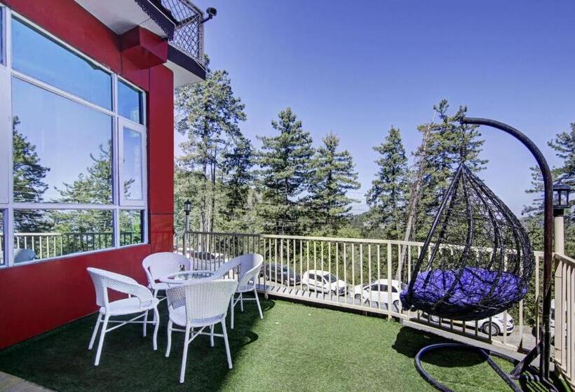 هتل Oyo Flagship The Green Park Shimla