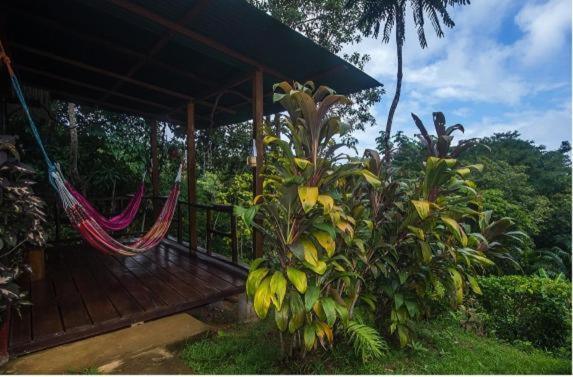 בית מלון כפרי Vista Alta Ecolodge Bahia Drake