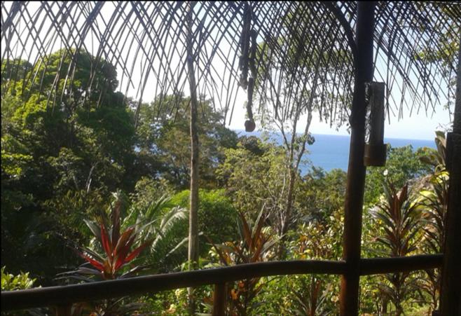 בית מלון כפרי Vista Alta Ecolodge Bahia Drake