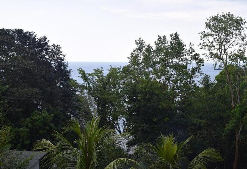 בית מלון כפרי Vista Alta Ecolodge Bahia Drake