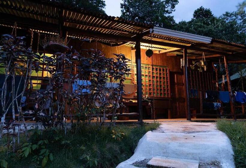 בית מלון כפרי Vista Alta Ecolodge Bahia Drake