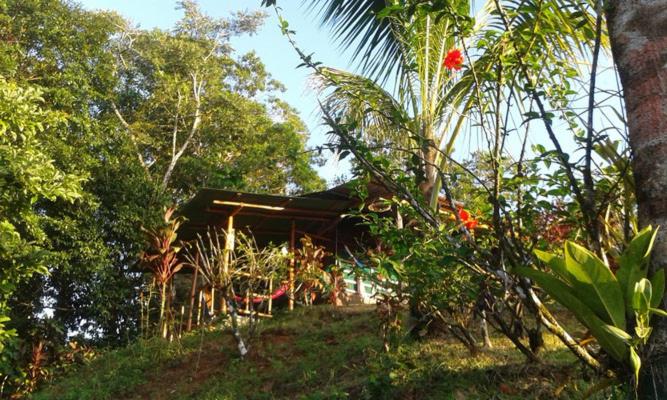 בית מלון כפרי Vista Alta Ecolodge Bahia Drake