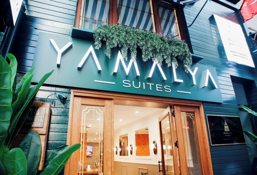 ホテル Taksim Istiklal Street Yamalya