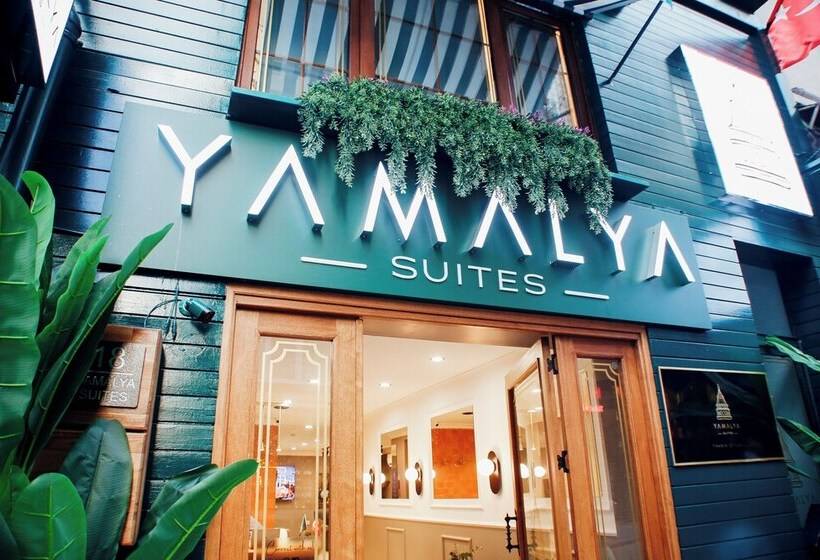 ホテル Taksim Istiklal Street Yamalya