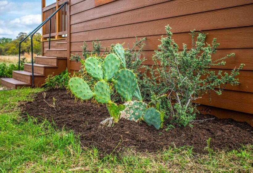 פנסיון River Bend Hideaway On Medina