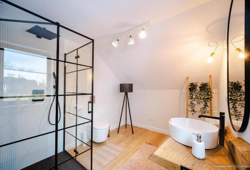 펜션 Solonetul Nou 1164