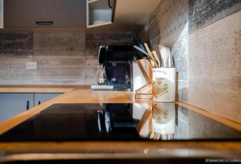 펜션 Solonetul Nou 1164