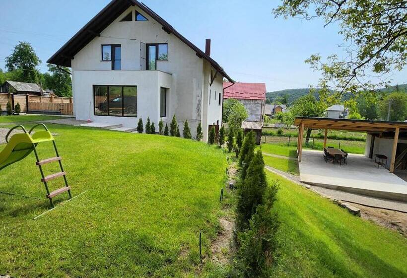 펜션 Solonetul Nou 1164