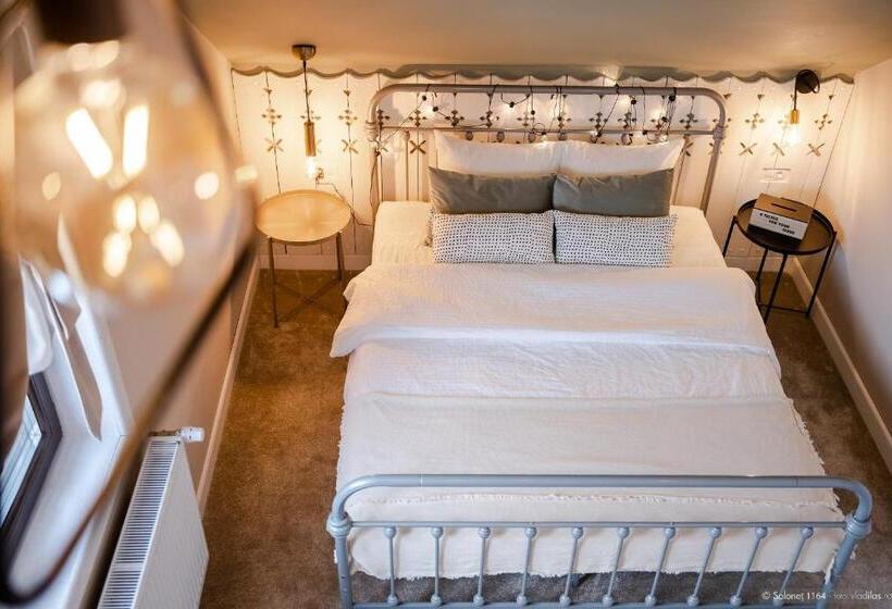 펜션 Solonetul Nou 1164