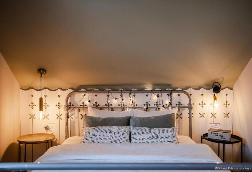 펜션 Solonetul Nou 1164