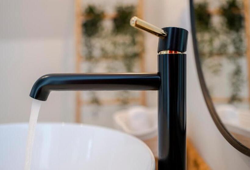 펜션 Solonetul Nou 1164