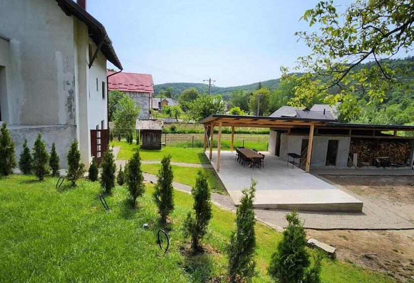 펜션 Solonetul Nou 1164