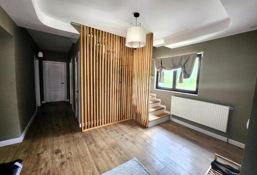 펜션 Solonetul Nou 1164