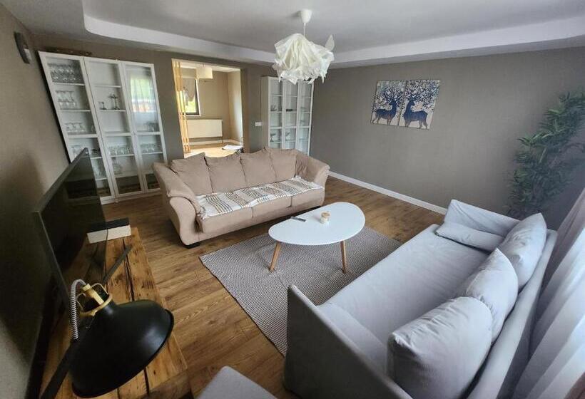 펜션 Solonetul Nou 1164