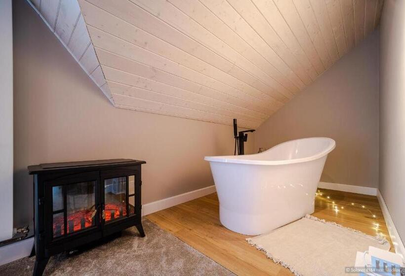 펜션 Solonetul Nou 1164