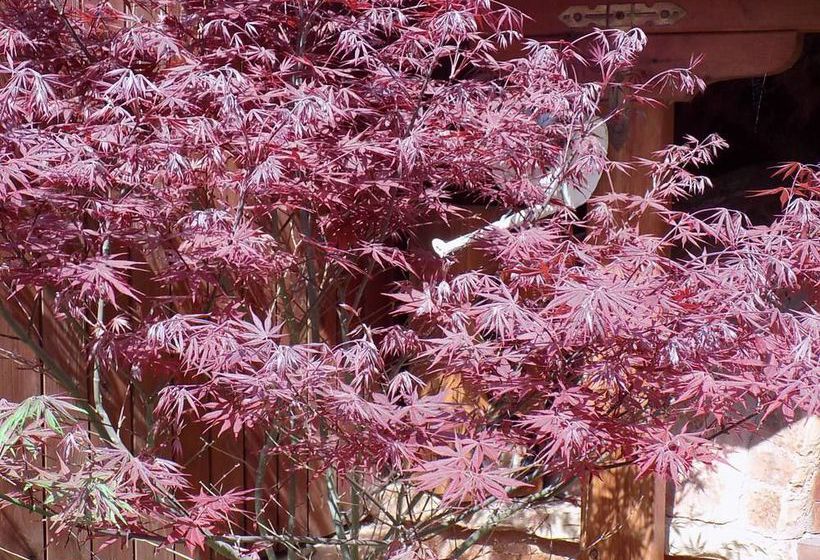 Palacio Balangan Villa