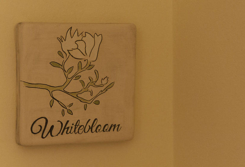 Palacio Balangan Villa